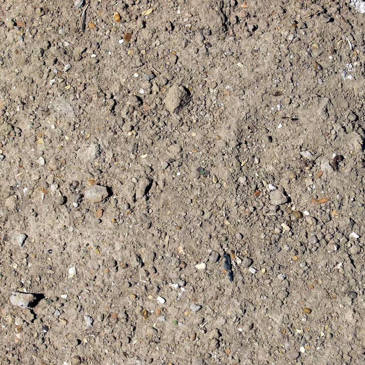 Rough Ground Won't Grow Anything Good