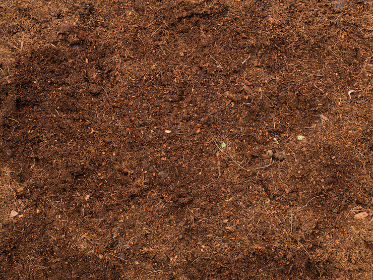 Why Ground Preparation Is the First Step to a Successful Landscape